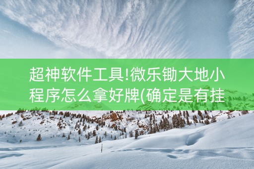 超神软件工具!微乐锄大地小程序怎么拿好牌(确定是有挂)