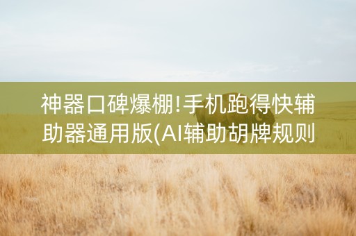神器口碑爆棚!手机跑得快辅助器通用版(AI辅助胡牌规则)