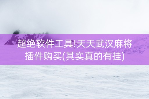 超绝软件工具!天天武汉麻将插件购买(其实真的有挂)