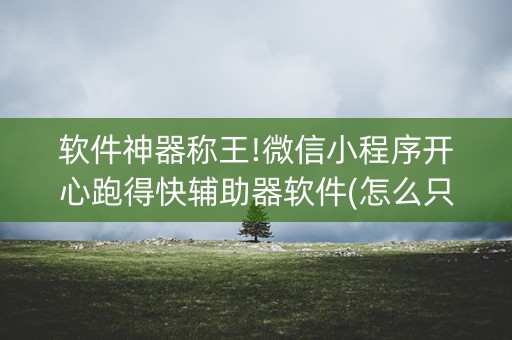 软件神器称王!微信小程序开心跑得快辅助器软件(怎么只赢不输)