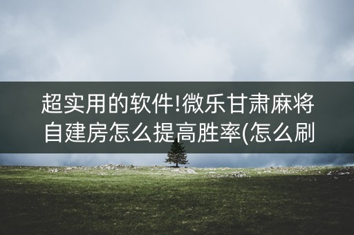 超实用的软件!微乐甘肃麻将自建房怎么提高胜率(怎么刷好牌)