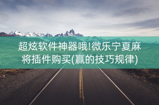 超炫软件神器哦!微乐宁夏麻将插件购买(赢的技巧规律)