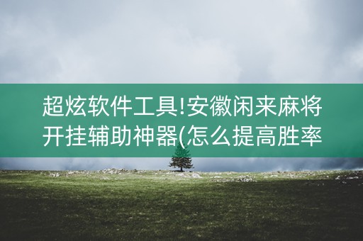 超炫软件工具!安徽闲来麻将开挂辅助神器(怎么提高胜率)
