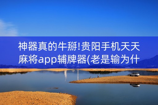 神器真的牛掰!贵阳手机天天麻将app辅牌器(老是输为什么)