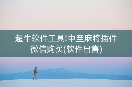 超牛软件工具!中至麻将插件微信购买(软件出售)