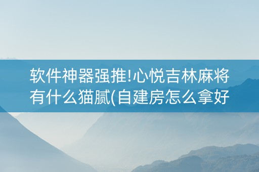 软件神器强推!心悦吉林麻将有什么猫腻(自建房怎么拿好牌)