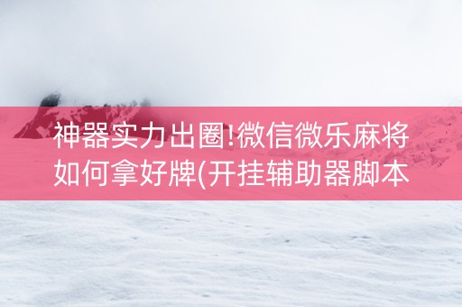 神器实力出圈!微信微乐麻将如何拿好牌(开挂辅助器脚本)