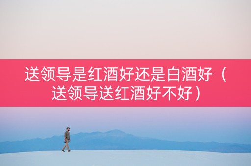 送领导是红酒好还是白酒好（送领导送红酒好不好）