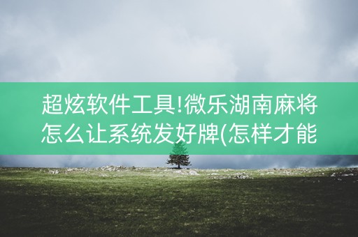 超炫软件工具!微乐湖南麻将怎么让系统发好牌(怎样才能有好牌)