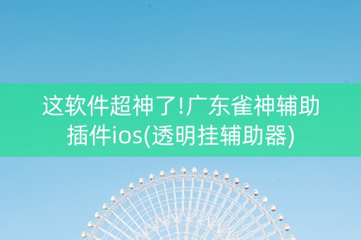 这软件超神了!广东雀神辅助插件ios(透明挂辅助器)