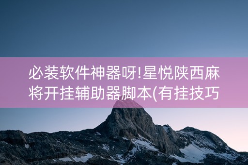 必装软件神器呀!星悦陕西麻将开挂辅助器脚本(有挂技巧辅助器)