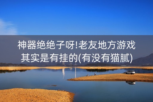 神器绝绝子呀!老友地方游戏其实是有挂的(有没有猫腻)