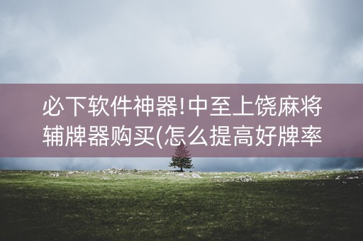 必下软件神器!中至上饶麻将辅牌器购买(怎么提高好牌率)