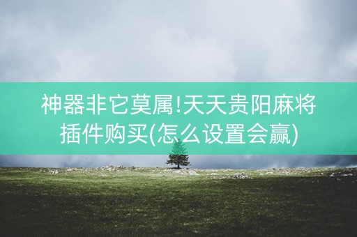 神器非它莫属!天天贵阳麻将插件购买(怎么设置会赢)
