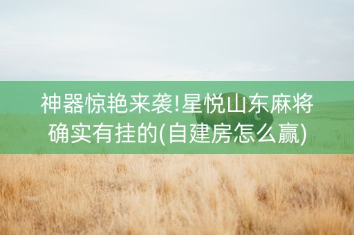 神器惊艳来袭!星悦山东麻将确实有挂的(自建房怎么赢)