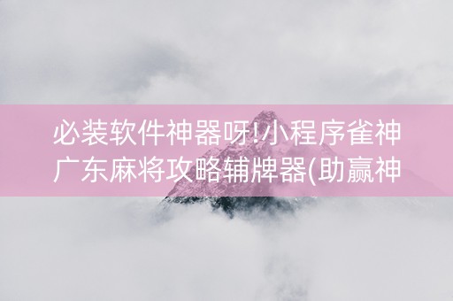 必装软件神器呀!小程序雀神广东麻将攻略辅牌器(助赢神器)