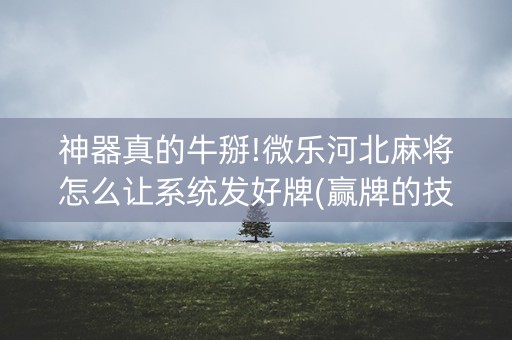 神器真的牛掰!微乐河北麻将怎么让系统发好牌(赢牌的技巧)