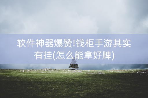 软件神器爆赞!钱柜手游其实有挂(怎么能拿好牌)
