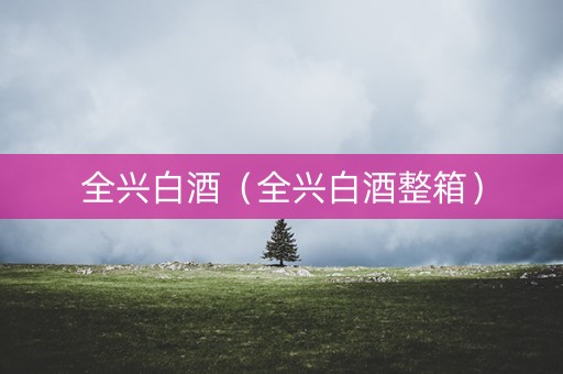 全兴白酒(全兴白酒整箱) 全兴白酒(全兴白酒整箱)