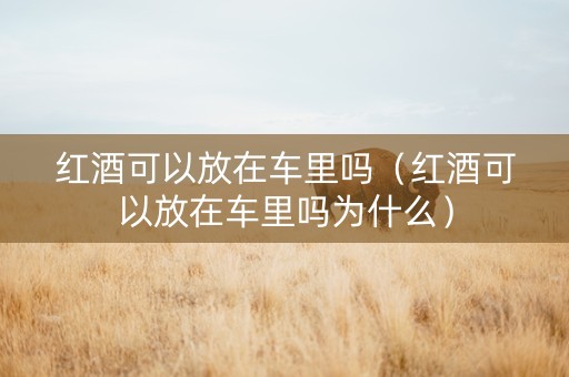 红酒可以放在车里吗（红酒可以放在车里吗为什么）