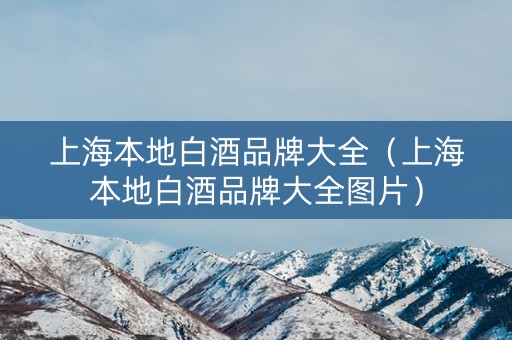 上海本地白酒品牌大全（上海本地白酒品牌大全图片）