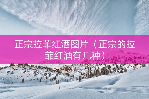 正宗拉菲红酒图片（正宗的拉菲红酒有几种）