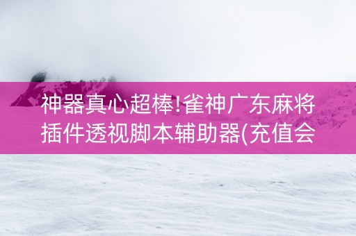神器真心超棒!雀神广东麻将插件透视脚本辅助器(充值会提高胜率么)