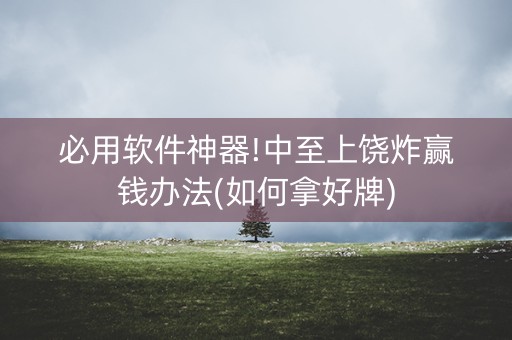 必用软件神器!中至上饶炸赢钱办法(如何拿好牌)