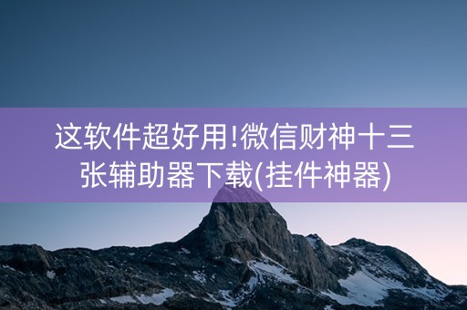 这软件超好用!微信财神十三张辅助器下载(挂件神器)