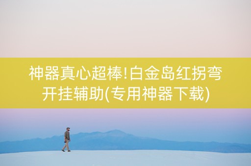 神器真心超棒!白金岛红拐弯开挂辅助(专用神器下载)