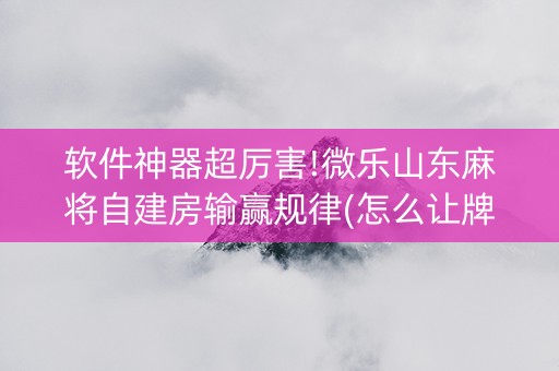 软件神器超厉害!微乐山东麻将自建房输赢规律(怎么让牌变好)