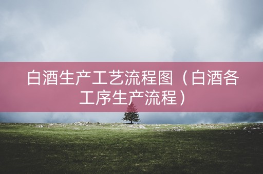 白酒生产工艺流程图（白酒各工序生产流程）