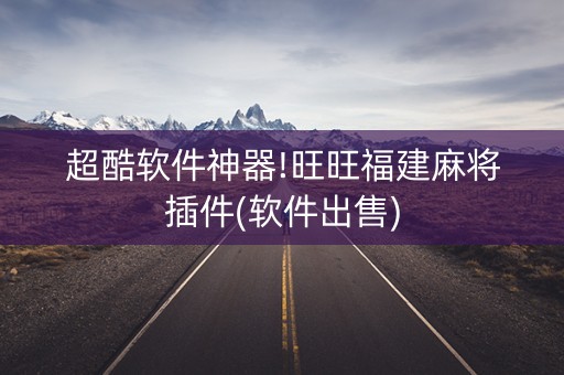 超酷软件神器!旺旺福建麻将插件(软件出售)