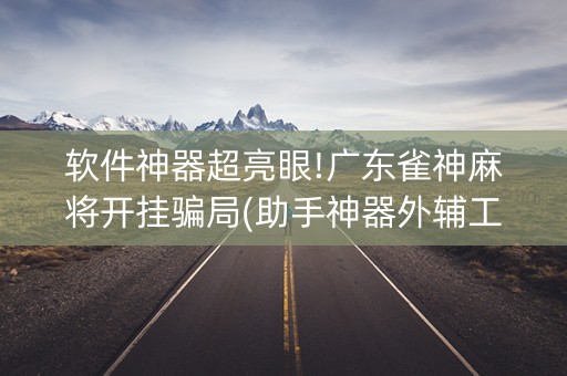软件神器超亮眼!广东雀神麻将开挂骗局(助手神器外辅工具)