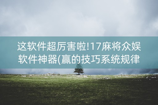 这软件超厉害啦!17麻将众娱软件神器(赢的技巧系统规律)