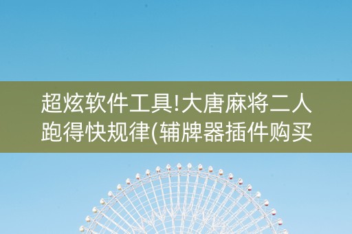 超炫软件工具!大唐麻将二人跑得快规律(辅牌器插件购买)