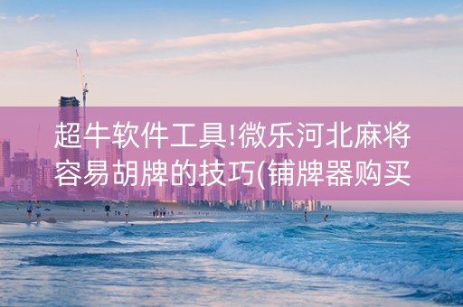 超牛软件工具!微乐河北麻将容易胡牌的技巧(铺牌器购买)