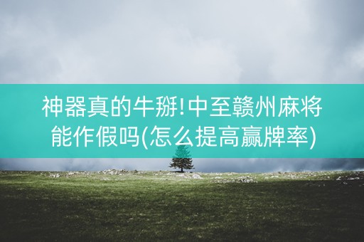 神器真的牛掰!中至赣州麻将能作假吗(怎么提高赢牌率)