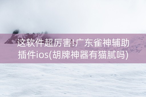 这软件超厉害!广东雀神辅助插件ios(胡牌神器有猫腻吗)