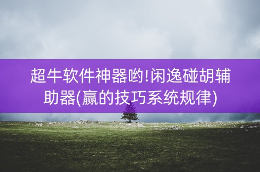 超牛软件神器哟!闲逸碰胡辅助器(赢的技巧系统规律)