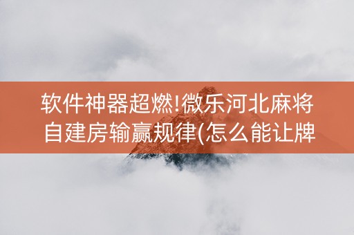 软件神器超燃!微乐河北麻将自建房输赢规律(怎么能让牌好一点)