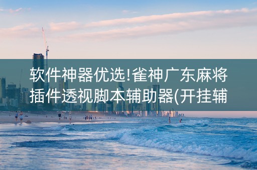 软件神器优选!雀神广东麻将插件透视脚本辅助器(开挂辅助器插件)