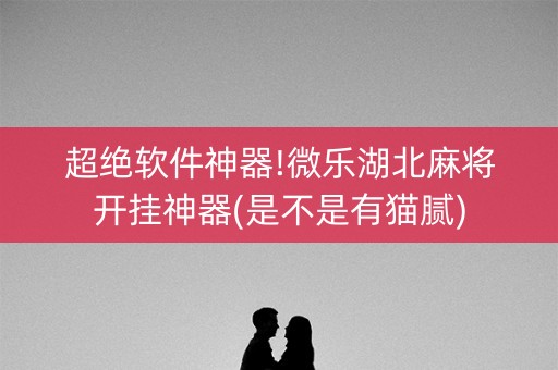 超绝软件神器!微乐湖北麻将开挂神器(是不是有猫腻)