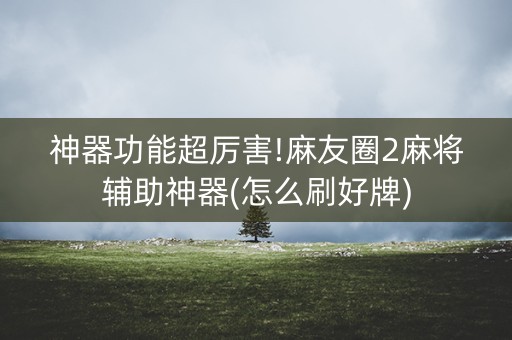 神器功能超厉害!麻友圈2麻将辅助神器(怎么刷好牌)