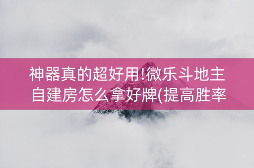 神器真的超好用!微乐斗地主自建房怎么拿好牌(提高胜率软件)