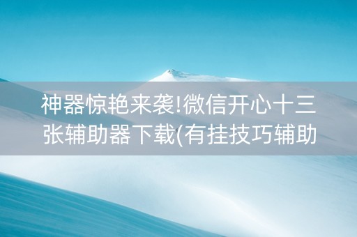 神器惊艳来袭!微信开心十三张辅助器下载(有挂技巧辅助器)