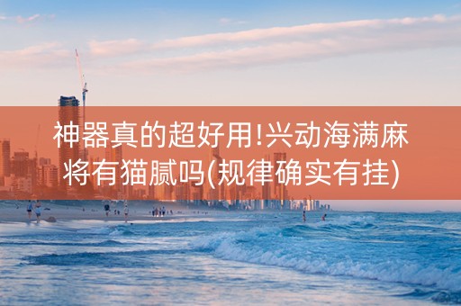 神器真的超好用!兴动海满麻将有猫腻吗(规律确实有挂)
