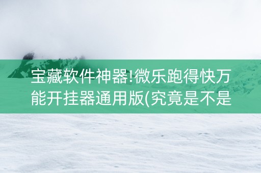 宝藏软件神器!微乐跑得快万能开挂器通用版(究竟是不是有挂)