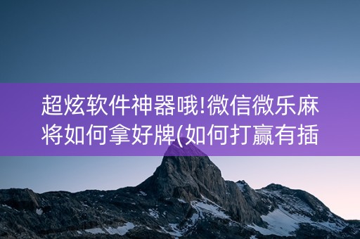 超炫软件神器哦!微信微乐麻将如何拿好牌(如何打赢有插件吗)
