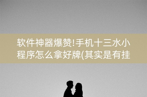 软件神器爆赞!手机十三水小程序怎么拿好牌(其实是有挂的)